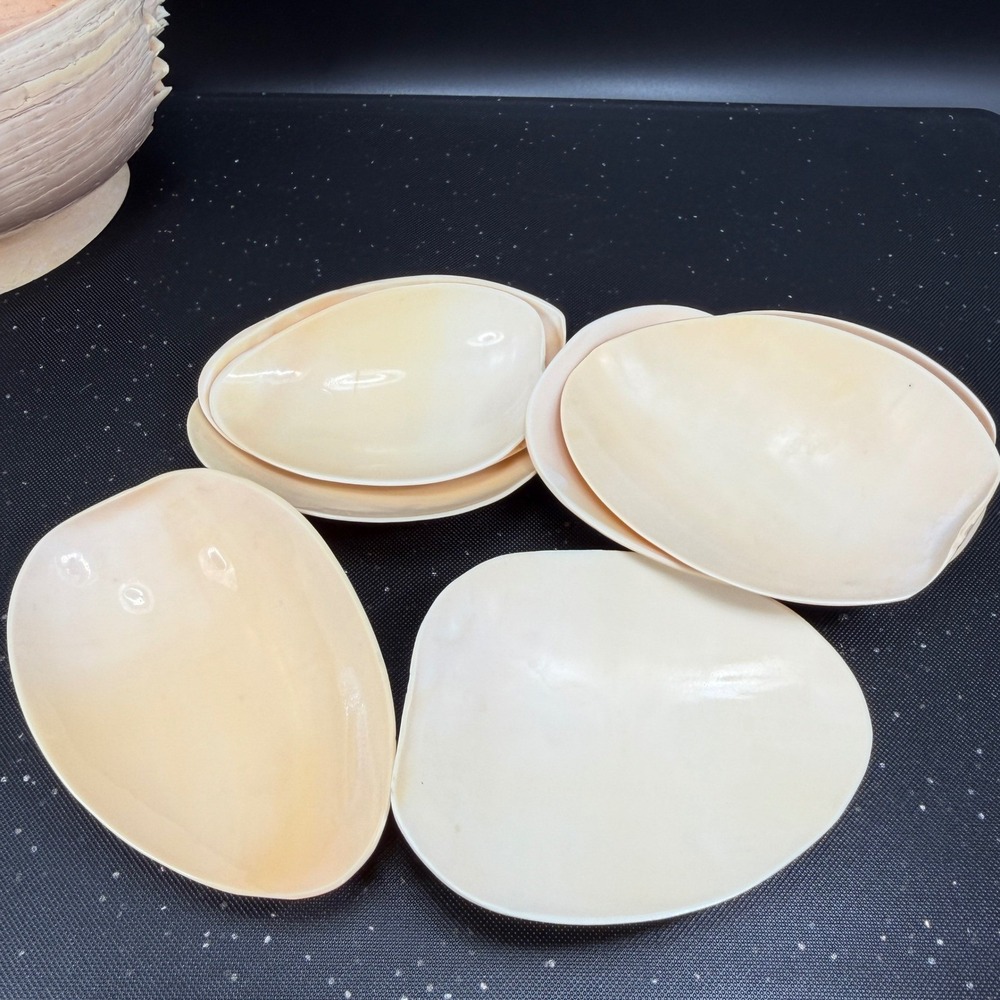Vintage Hand Carved Conch Shell Bowl Set 9 Dishes Servers Coastal w Utensils - Picture 10 of 16